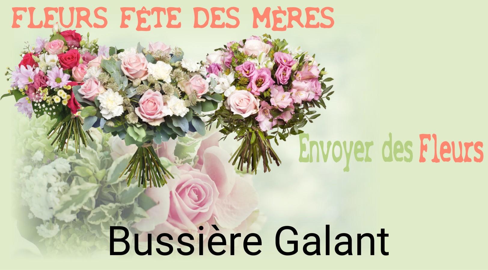 Bouquet de Fête des Mères livré à Bussière-Galant