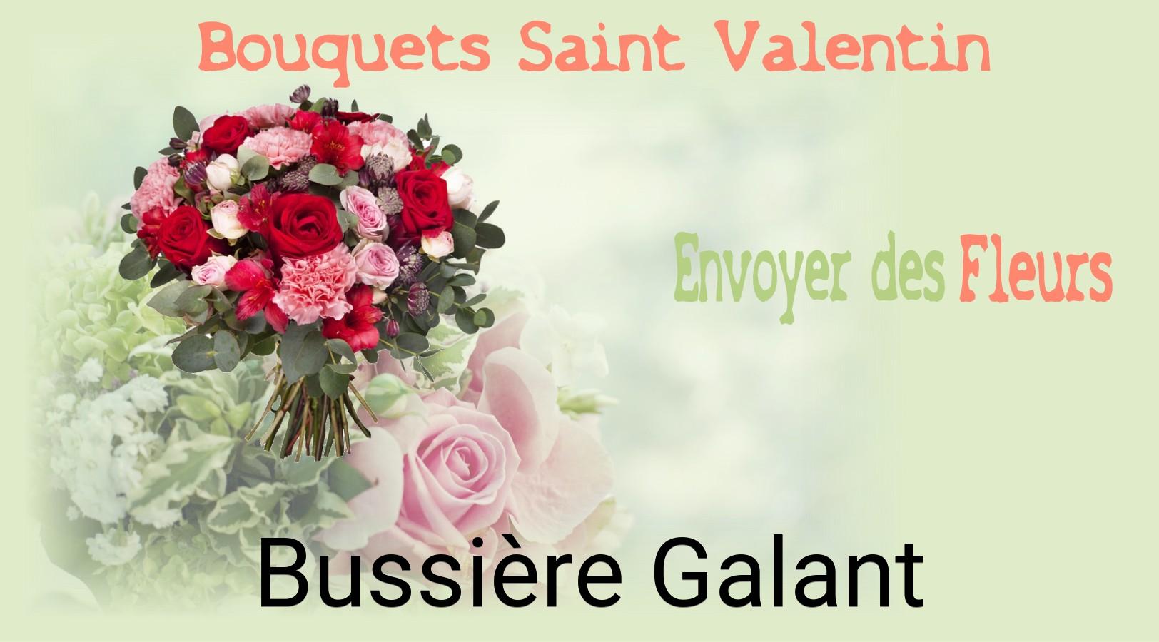 Roses de Saint-Valentin livrées à Bussière-Galant